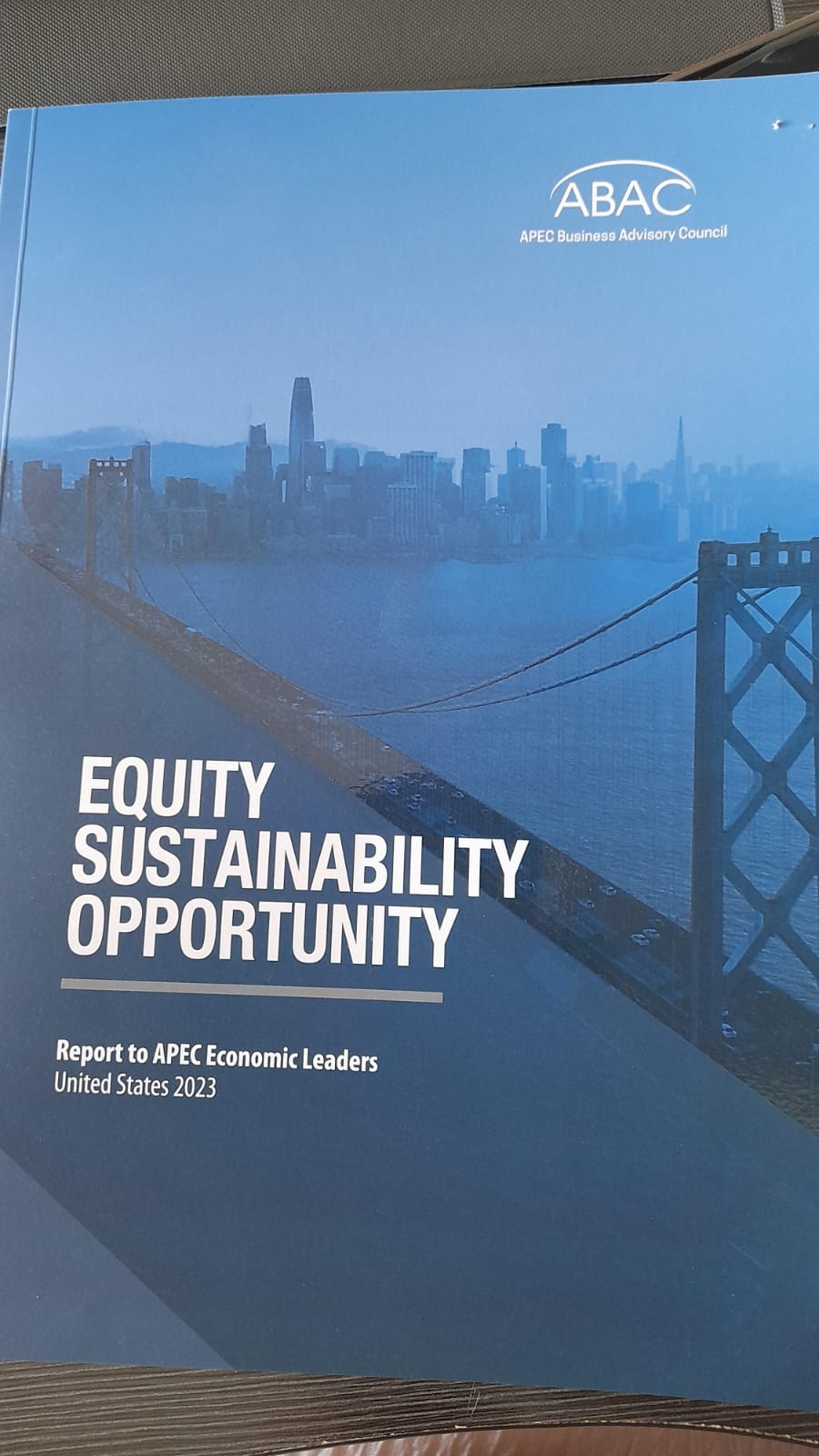 Cover of Equity Sustainability Opportunity
